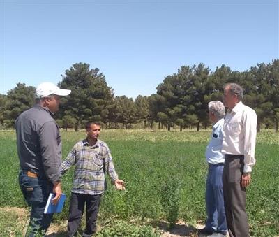 مدیریت بهینه در مصرف آب با ارتقای روشهای آبیاری